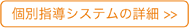 個別指導システムの詳細